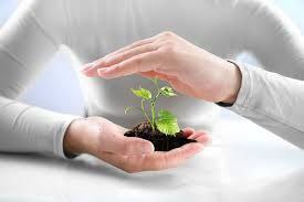 Agricultural insurance 